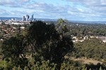 Views of Perth from Bold Park