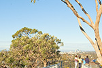 Reabold Hill Views of Perth by Friends of Bold Park Bushland
